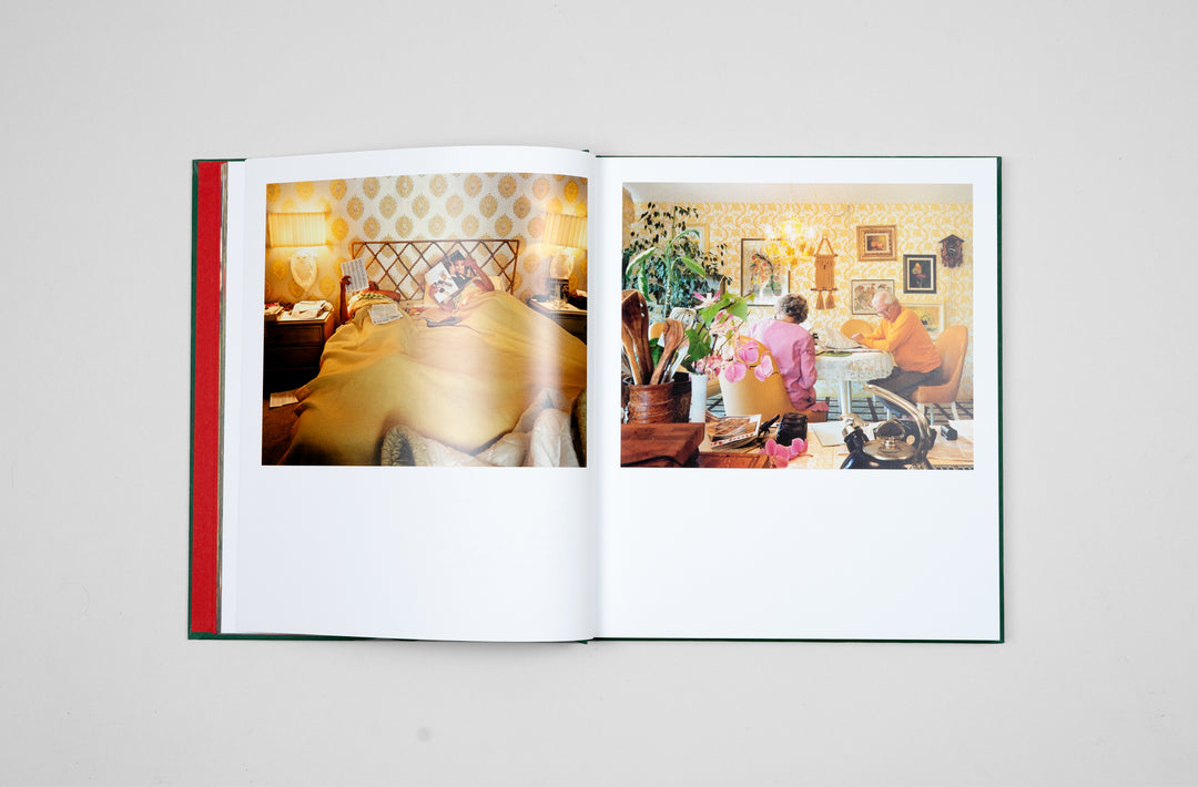 Larry Sultan – Pictures From Home