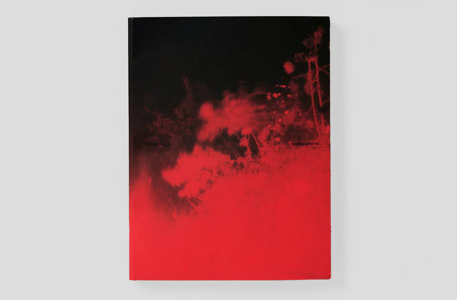 Ensemble – Richard Mosse – Broken Spectre
