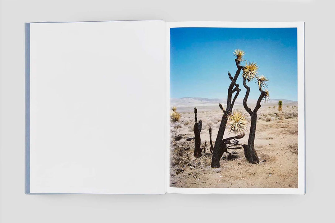 Gregory Halpern — ZZYZX