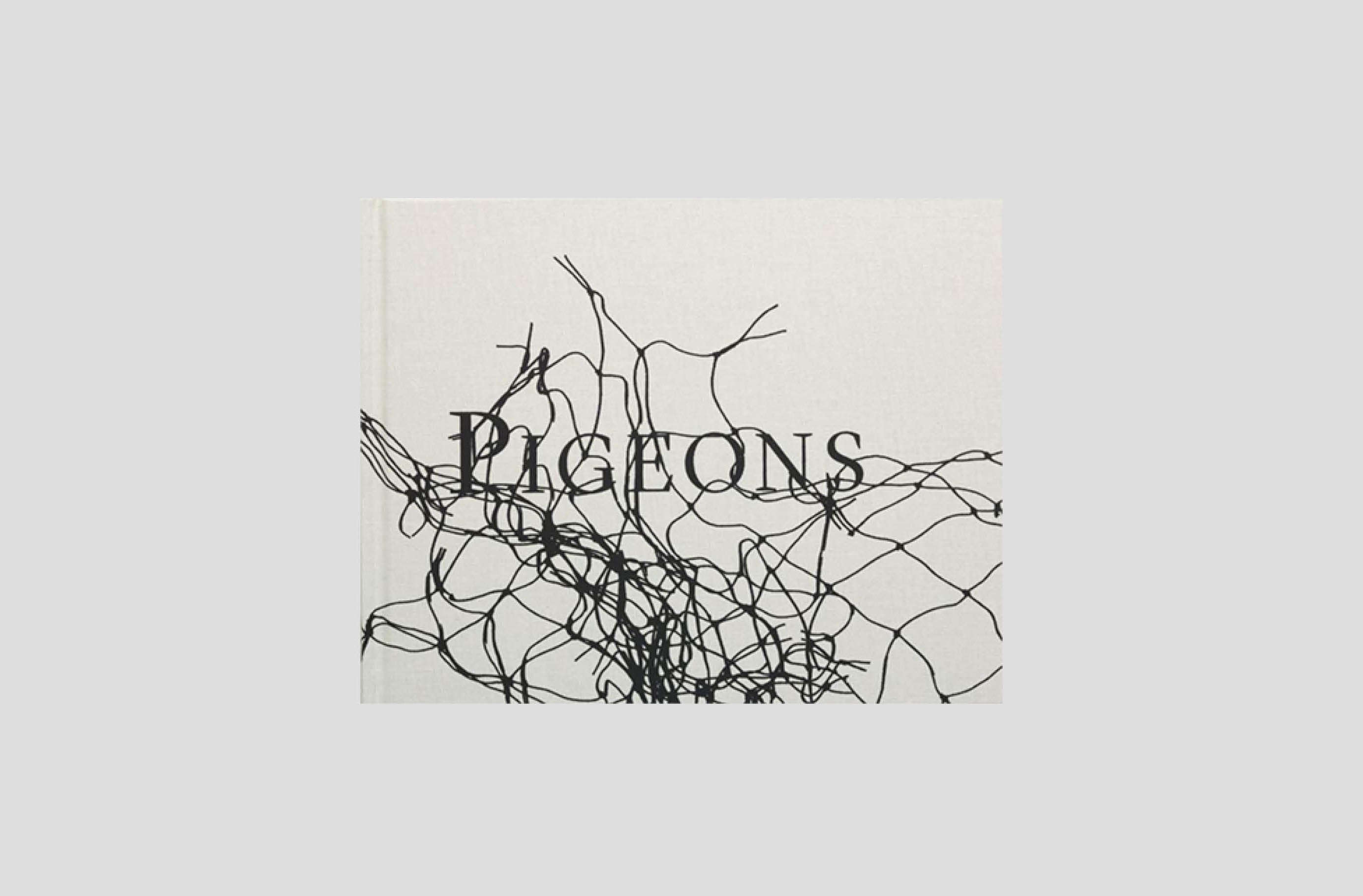 stephen gill PIGEONS　写真集 Ensemble – Stephen Gill – Pigeons
